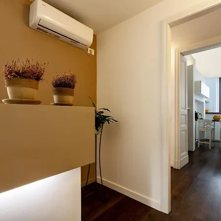 Metacometa Luxury